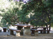 Enlarge photo 63