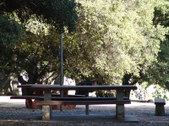 Enlarge photo 64