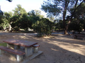 Enlarge photo 66