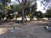 Enlarge photo 67