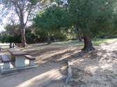 Enlarge photo 68