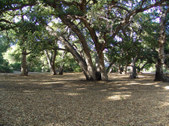 Enlarge photo 69