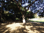Enlarge photo 70