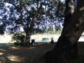 Enlarge photo 71