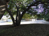 Enlarge photo 72
