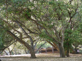 Enlarge photo 74