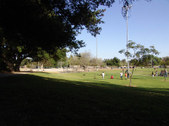 Enlarge photo 77
