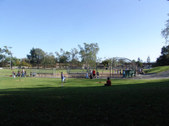 Enlarge photo 78