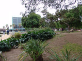 Enlarge photo 13