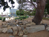Enlarge photo 15