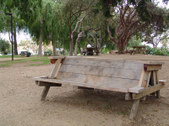 Enlarge photo 16