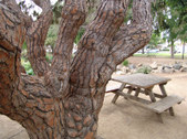 Enlarge photo 21