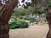 Enlarge photo 22