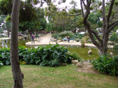 Enlarge photo 24