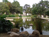 Enlarge photo 30