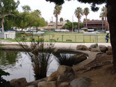 Enlarge photo 31