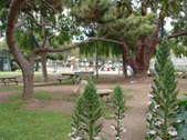 Enlarge photo 32