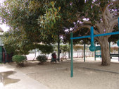 Enlarge photo 33