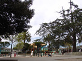 Enlarge photo 37