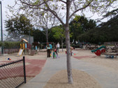 Enlarge photo 54