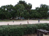 Enlarge photo 65