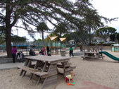 Enlarge photo 67