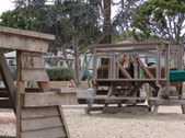Enlarge photo 72