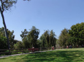 Enlarge photo 1