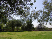 Enlarge photo 17