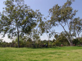 Enlarge photo 18