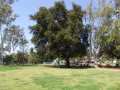 Enlarge photo 19