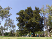 Enlarge photo 21
