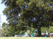 Enlarge photo 22