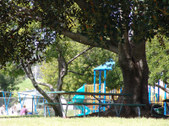 Enlarge photo 23