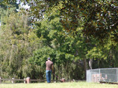 Enlarge photo 24