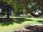 Enlarge photo 25