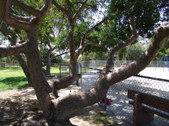 Enlarge photo 26