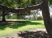 Enlarge photo 29