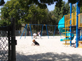 Enlarge photo 32