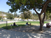 Enlarge photo 34