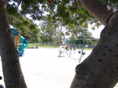 Enlarge photo 45