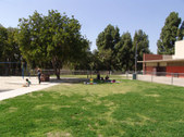 Enlarge photo 55