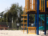 Enlarge photo 61