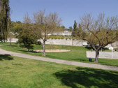 Enlarge photo 66