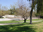 Enlarge photo 67