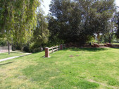 Enlarge photo 68
