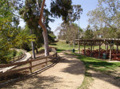 Enlarge photo 70
