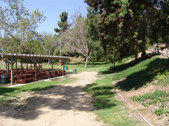 Enlarge photo 71