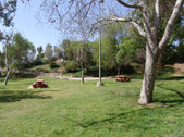 Enlarge photo 75