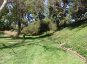 Enlarge photo 76